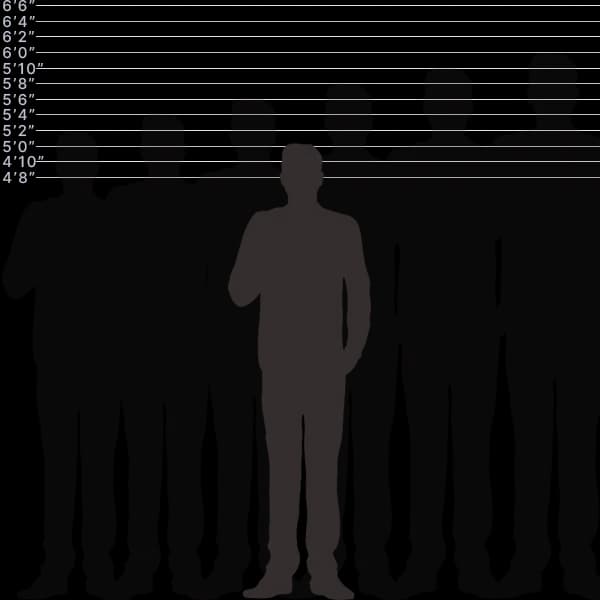 Image showing human height of 153 centimeters with sizes label and comparison