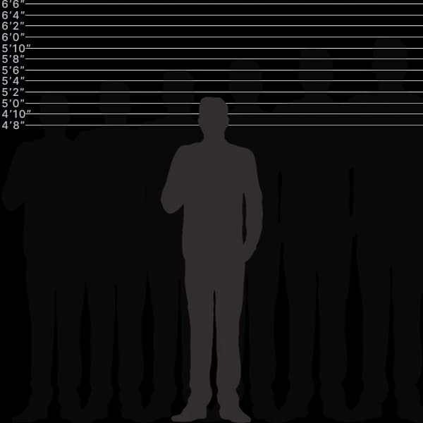 Image showing human height of 155 centimeters with sizes label and comparison