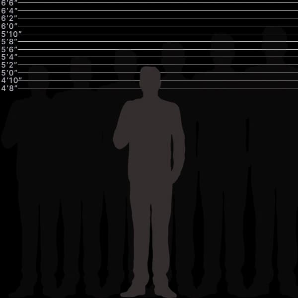 Image showing human height of 156 centimeters with sizes label and comparison
