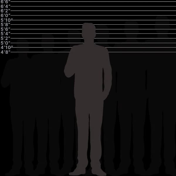 Image showing human height of 175 centimeters with sizes label and comparison