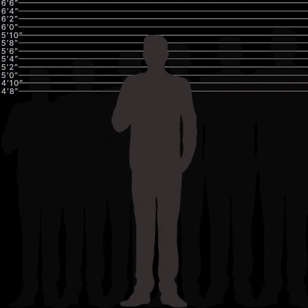 صورة توضح أشياء شائعة بطول 178 سنتيمتر مع تسمية الأحجام.