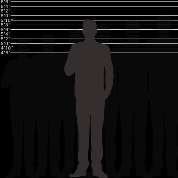 Immagine che mostra l'altezza umana di 179 centimetri con etichette di dimensioni e confronto