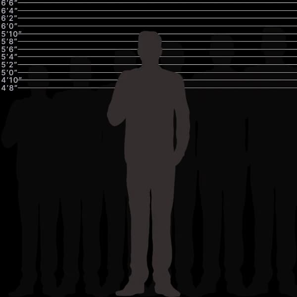 Imagen que muestra la altura humana de 180 centímetros con etiquetas de tamaño y comparación