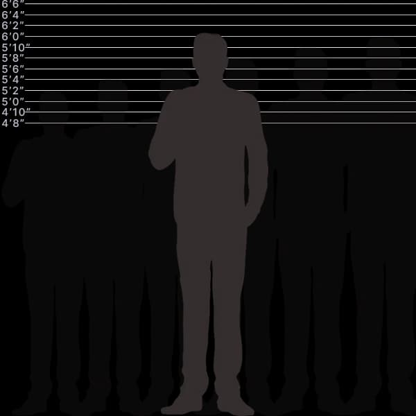 Bild, das die menschliche Höhe von 185 Zentimetern mit Größenbeschriftung und Vergleich zeigt