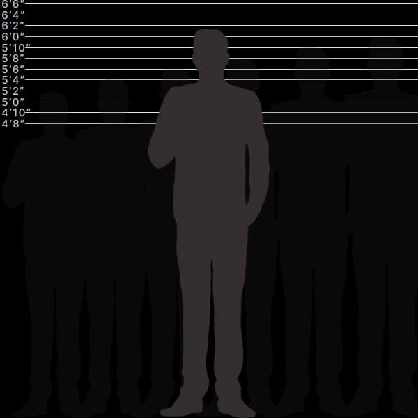 Image showing human height of 187 centimeters with sizes label and comparison