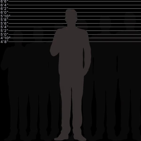 Image showing human height of 188 centimeters with sizes label and comparison