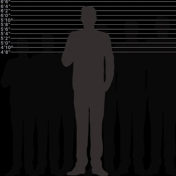 صورة توضح أشياء شائعة بطول 194 سنتيمتر مع تسمية الأحجام.