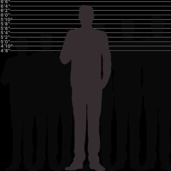 صورة توضح أشياء شائعة بطول 195 سنتيمتر مع تسمية الأحجام.