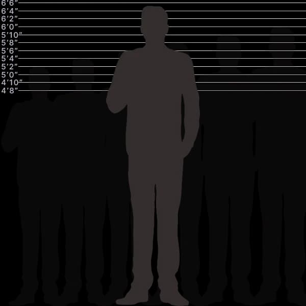 Image showing human height of 197 centimeters with sizes label and comparison