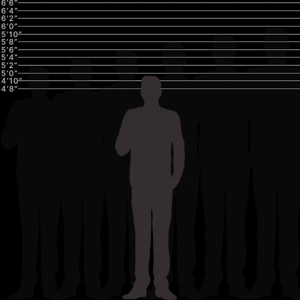 Image showing human height of 150 centimeters with sizes label and comparison