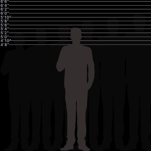 Image showing human height of 164 centimeters with sizes label and comparison