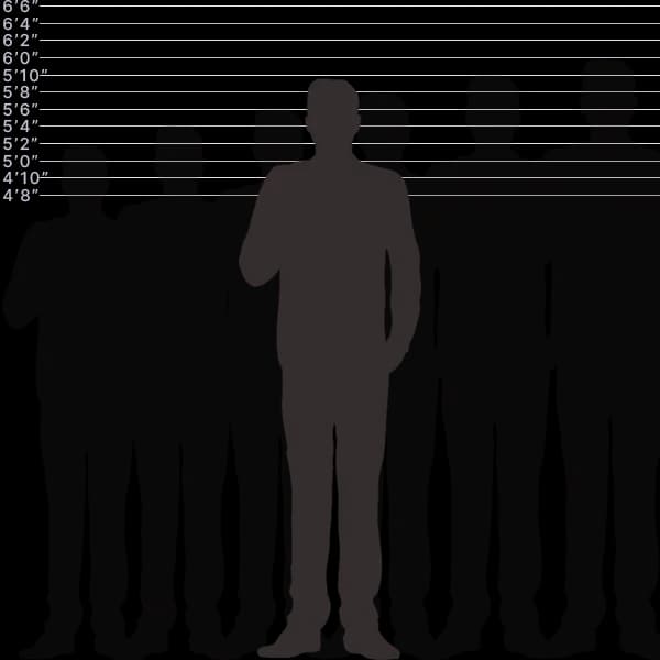 صورة توضح أشياء شائعة بطول 177 سنتيمتر مع تسمية الأحجام.