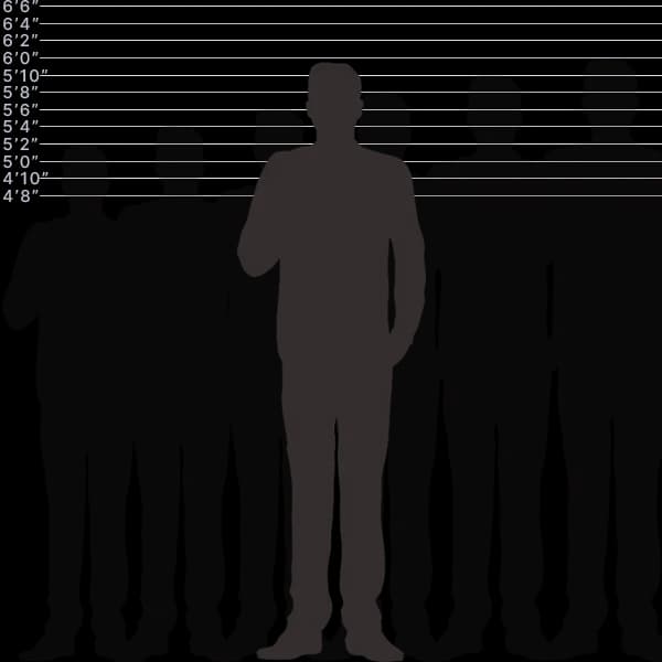 Bild, das die menschliche Höhe von 182 Zentimetern mit Größenbeschriftung und Vergleich zeigt