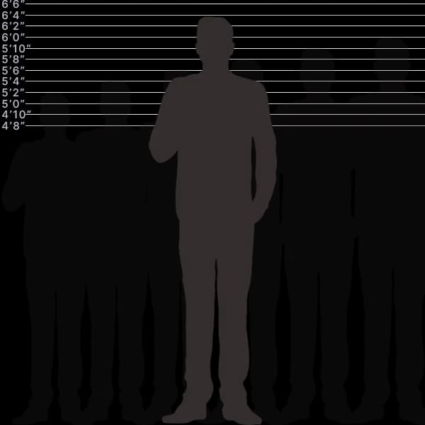193 santimetre boyundaki insanın boyutlarının etiketli ve karşılaştırmalı olarak gösterildiği resim