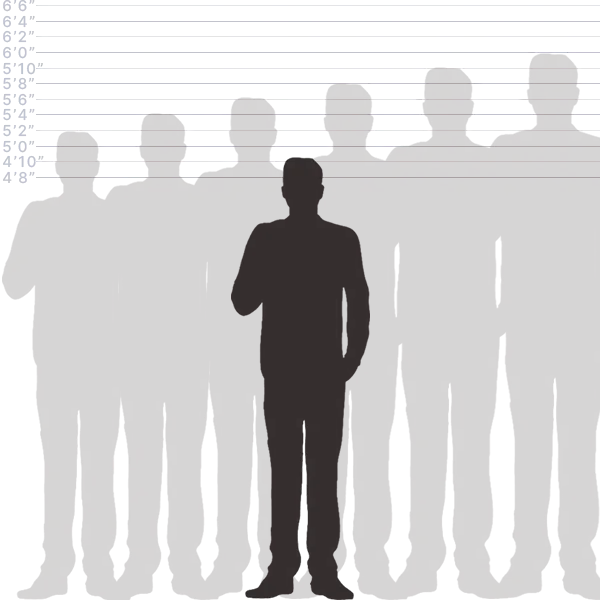 Convert 148 cm to inches visual length comparison