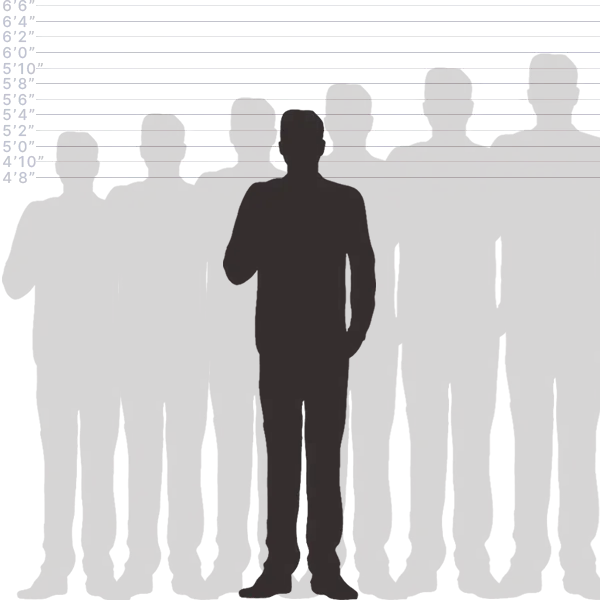 Convert 164 cm to inches visual length comparison