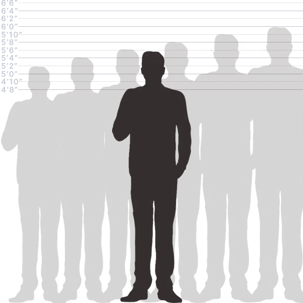 Convert 167 CM to Inches Visual Length Comparison