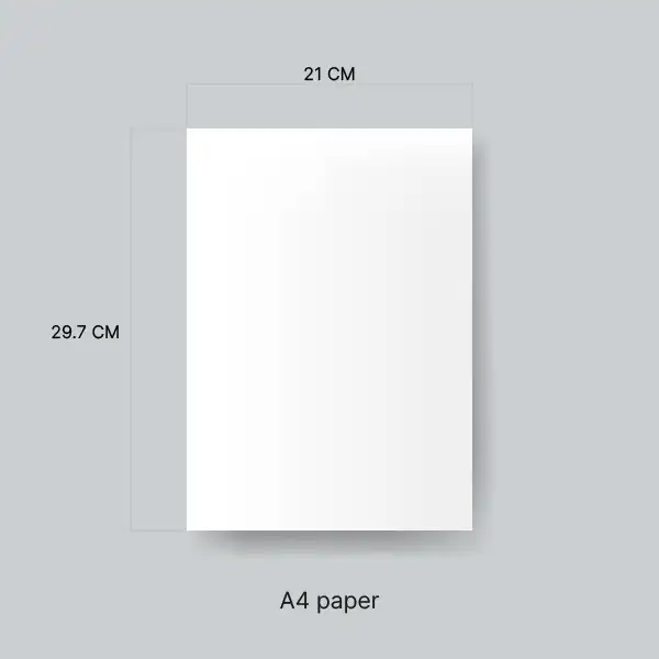 Convert 43 CM to Inches | Visual Length Comparison